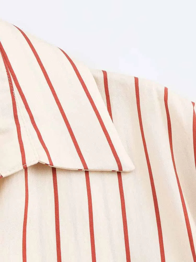 Simple Striped Print Dress